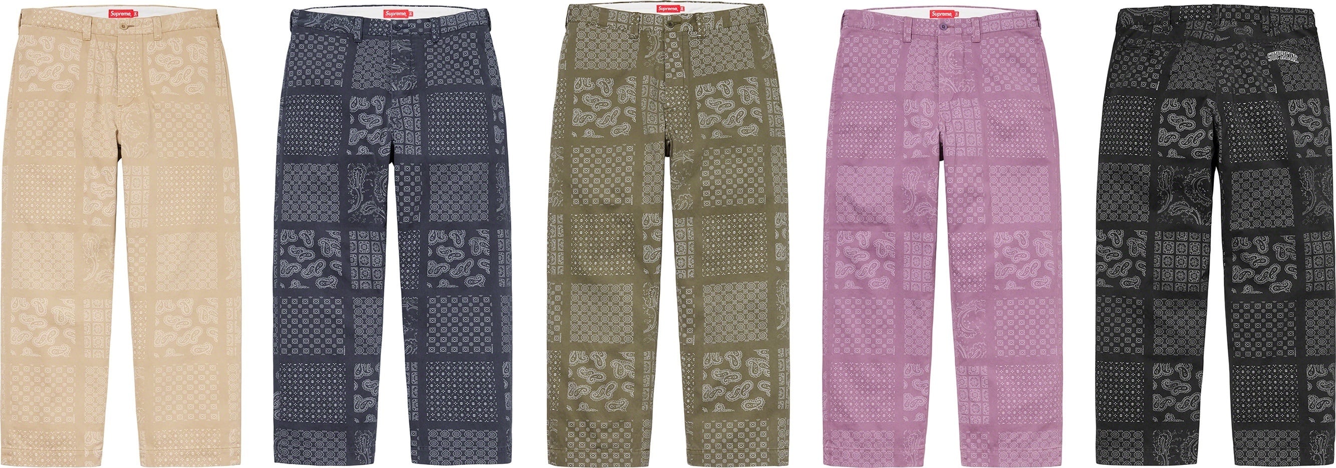 Paisley Grid Chino Pant